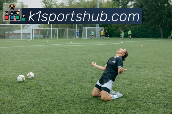 K1体育平台生态图