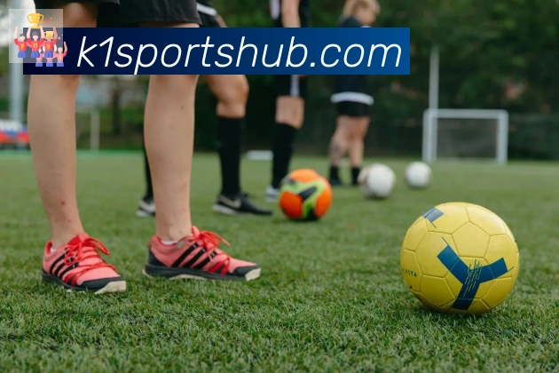 K1体育服务体系