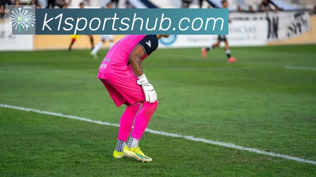 App Interface Preview