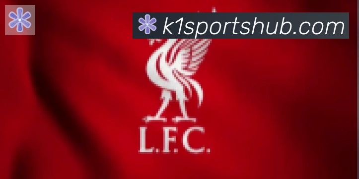 K1体育合作伙伴