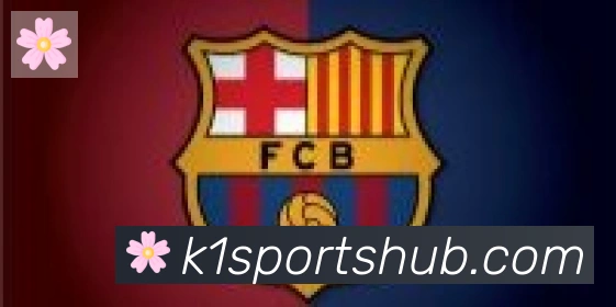 K1体育合作伙伴